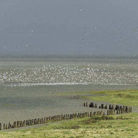 Bellemare Bungalow Lauwersmeer Mit Ueberdachte Veranda Und Eingezaeuntem Garten Anjum Luaran gambar